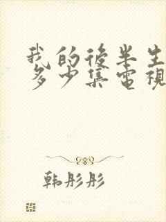 我的后半生一共多少集电视剧