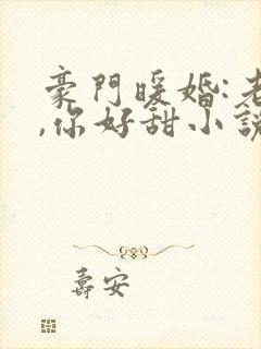 豪门暖婚:老婆,你好甜小说