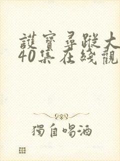 护宝寻踪大结局40集在线观看完整版