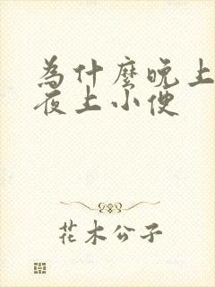 为什么晚上光起夜上小便