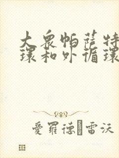 大众帕萨特内循环和外循环的标志