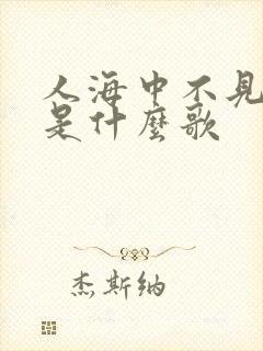 人海中不见了你是什么歌