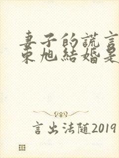 妻子的谎言佳媛东旭结婚是哪一集