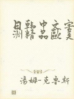 日韩中文字幕亚洲精品欧美