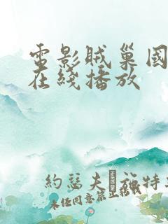 电影贼巢国语版在线播放