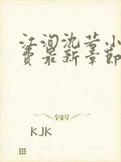 江洵沈若小说免费最新章节更新