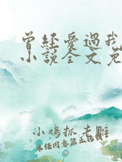 曾经爱过我刘念小说全文免费阅读