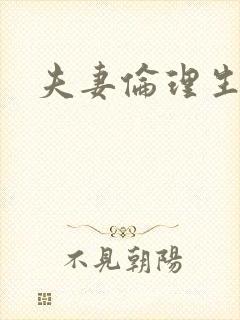 夫妻伦理生活片