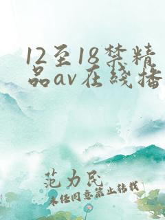 12至18禁精品av在线播放