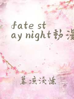 fate stay night动漫