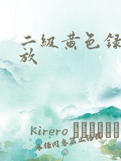 二级黄色录像播放