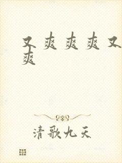 又爽爽爽又爽爽爽