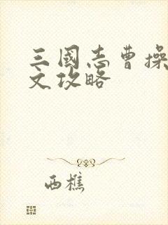 三国志曹操传图文攻略