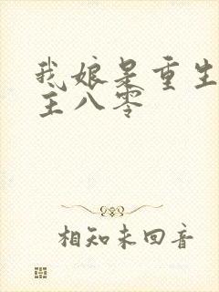 我娘是重生文女主八零