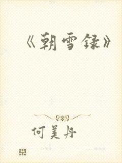 《朝雪录》小说