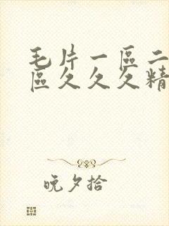 毛片一区二区三区久久久精品