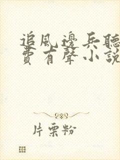 追风边兵听书免费有声小说