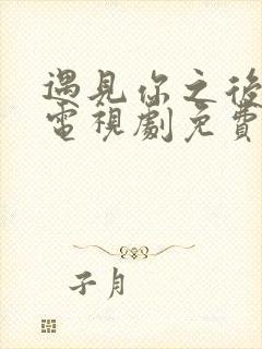 遇见你之后全集电视剧免费观看