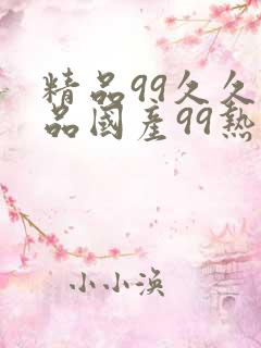 精品99久久精品国产99热因怎么用