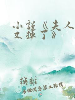 小说《夫人马甲又掉了》