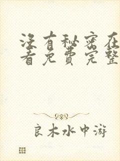 没有秘密在线观看免费完整版韩剧