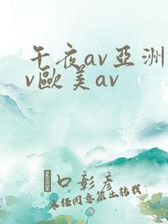 午夜av亚洲av欧美av
