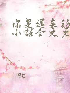 你是迟来的喜欢小说全文免费阅读