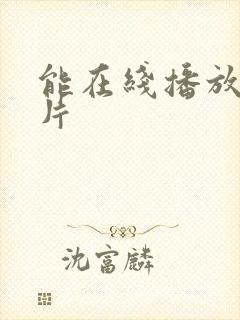 能在线播放的毛片