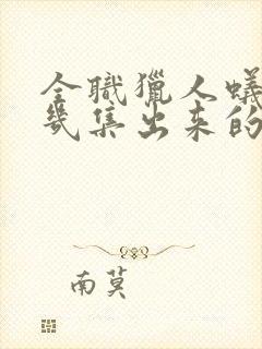 全职猎人蚁王第几集出来的