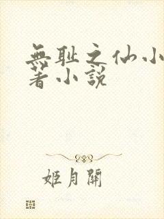 无耻之仙小说原著小说