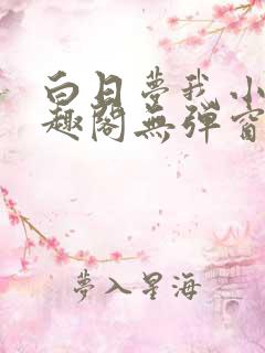 白日梦我小说笔趣阁无弹窗