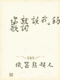 你就说我的唯一歌词