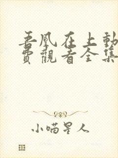 吾凰在上动漫免费观看全集完整版