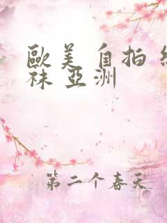 欧美 自拍 丝袜 亚洲