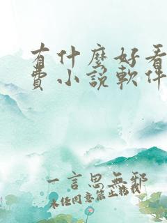 有什么好看的免费小说软件