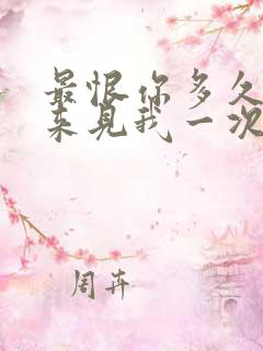 最恨你多久都不来见我一次 歌词