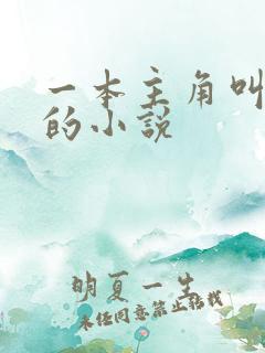 一本主角叫林萧的小说