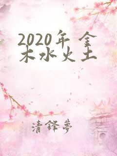 2020年 金木水火土