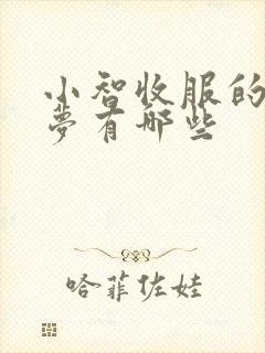 小智收服的宝可梦有哪些