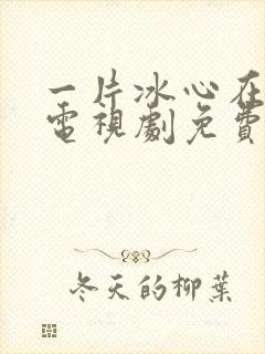 一片冰心在玉壶电视剧免费观看全集