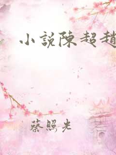 小说陈超赵悦