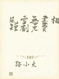 风雪无尽相思情短剧免费