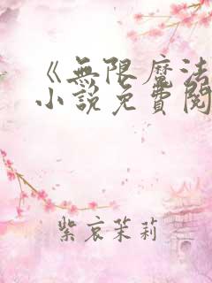 《无限魔法师》小说免费阅读