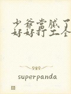 少爷当腻了只想好好打工全集