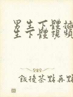 男生下体插入女生下体视频