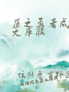 盾之勇者成名录文库版