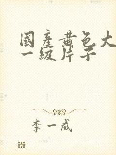 国产黄色大粗吊一级片子