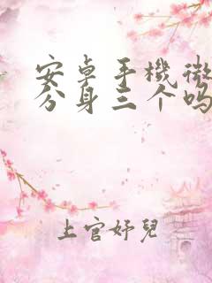 安卓手机微信能分身三个吗