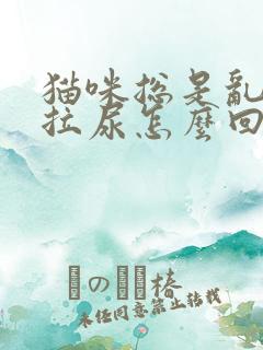 猫咪总是乱拉屎拉尿怎么回事