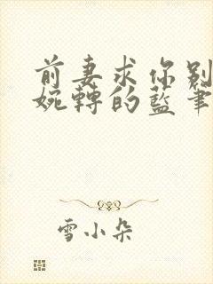 前妻求你别改嫁婉转的蓝笔趣阁